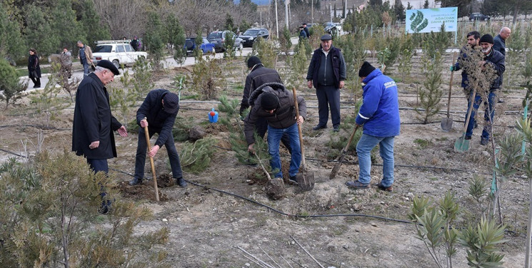 Hacı Zeynalabdin qəsəbəsində ağacəkmə aksiyası keçirilib